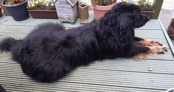 Ik hou het allemaal wel goed in het oog!!