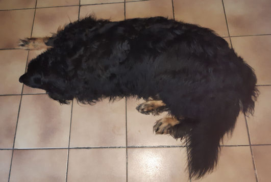 Die klein krijgt alle aandacht!