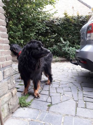 Aiko en het tweekoppig monster...