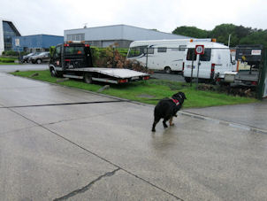 Op naar de brouwerij van Westmalle...