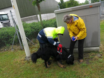 De beloning is heerlijk!