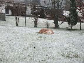 Hmmm, lekker fris hier in de sneeuw!