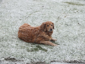 Kom er maar gezellig bij baas!!