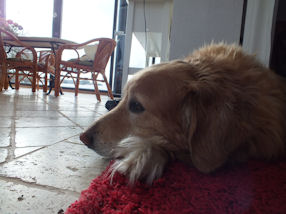 Wat is het hier heerlijk rustig!!