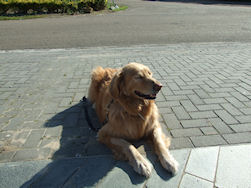 Ahhhhh, da wordt genieten!!