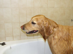 Euhhh, da is hier wel nat zenne!!