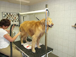 Doe het nog ne keer!!!