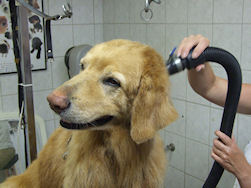 OK, doe maar verder!!