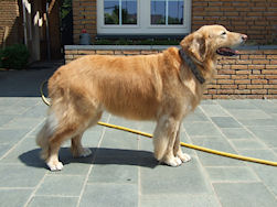 En? Wat vind je er van??