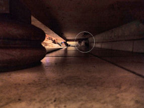 Hier zit de lekkernij...