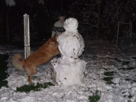 Die sneeuwman wordt de mijne!!!