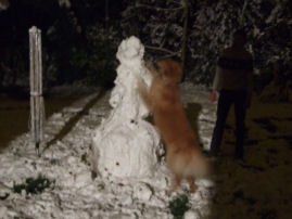 En nie willen h�!!