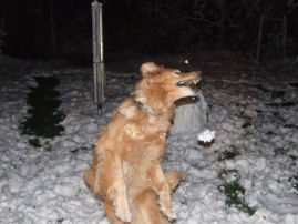 OK! Breng maar de volgend sneeuwman!