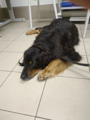 Even wachten op de onderzoekers...