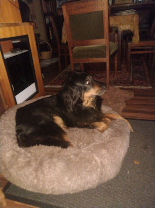 Is dit nu mijn mand??!!