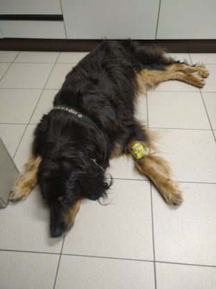 Nog even in dromenland...