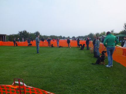 Allemaal samen in de ring voor de algeemene uitleg.