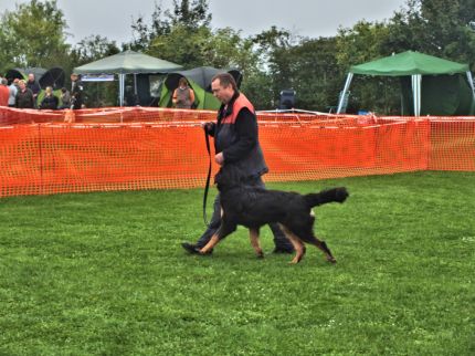 Gangwerk beoordelen...