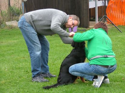 Mente wordt grondig gecontroleerd...