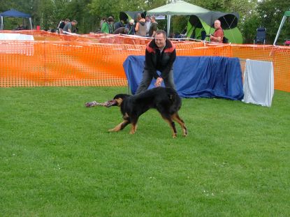 Voor het spel heeft mijn lieveling altijd zin!