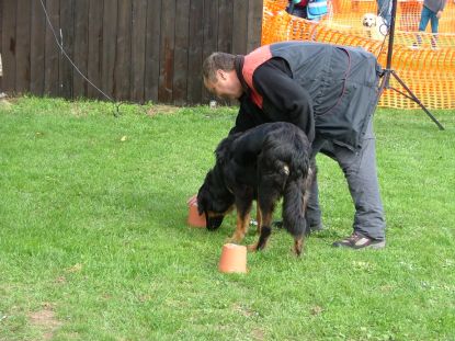 Snoepjes verstopt?? Zo gevonden!