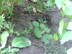 Als het niet diep genoeg is, moogt ge het zeggen.