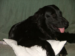 Neen, Van mij heeft hij ook niets weg!