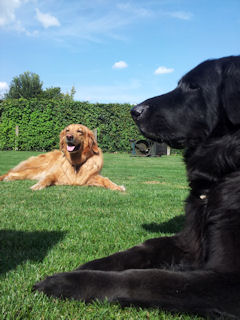 Dunja moest ook weer vooraan op de foto!!