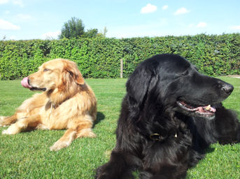 Dadishier wel gezellig in het zonneke!!