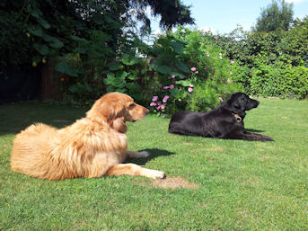 Ge moet da allemaal nie geloven zenne!!