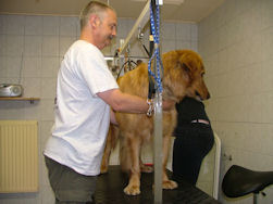 Ook Elmo vertrouwt het niet helemaal!