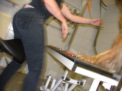 Hup... Daar ging Elmo!!