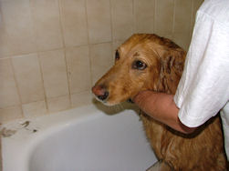 Wanneer komt er nu iets leuks.