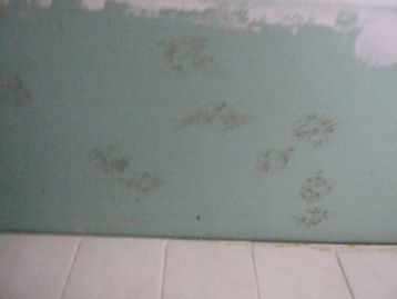 Wie liep hier over part1...