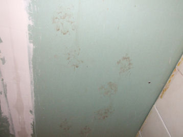 Wie liep hier over part2...