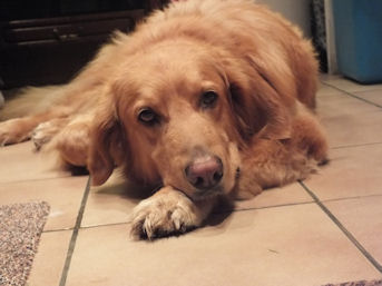 Hoe zit da hier met mijn eten??!!