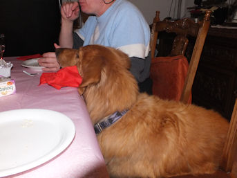 Mag ik nu ook mijnen dessert??!!