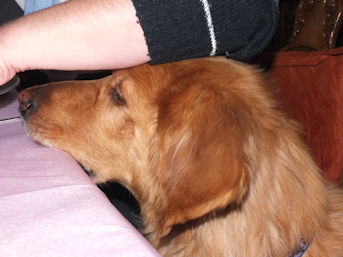 Jaaaaaa, da stukske moet het zijn!!