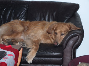 Buiksken vol... nu ne goeie si�sta...