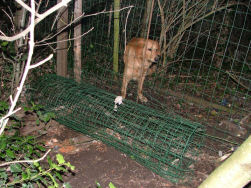 Elmo laat zich hierdoor niet tegenhouden.
