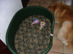 De kater na het feestje...