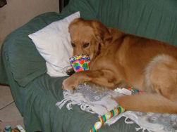 De aanstoker van het feest!