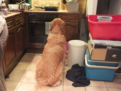 Ik ben zeker da da voor mij is...