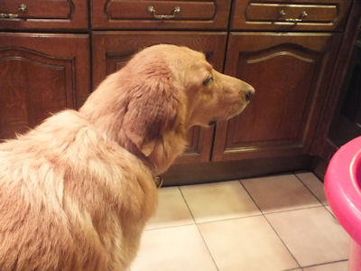 Jaja... IK BLIJF ER AF!!