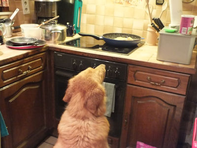 HOHO, da worden de mijn!!!