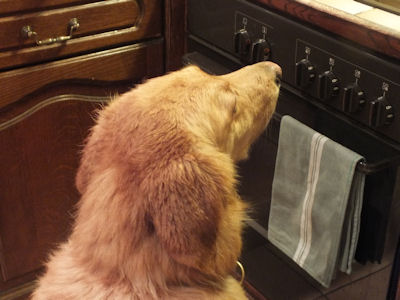 Ik heb echt wel geduld!!