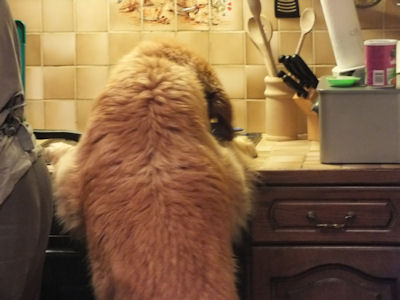 Gelukkig nie...slobbersloebber... te warm!!