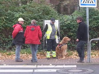 Ik weet al waar ik naartoe moet!