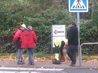 Hela!! Da kietelt zenne!!