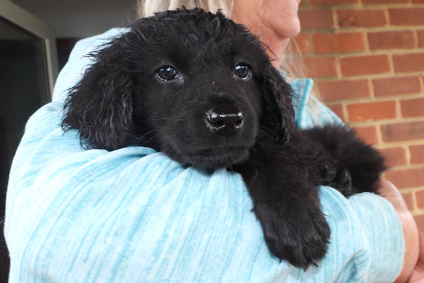 Ezri, onze eerste ontmoeting...